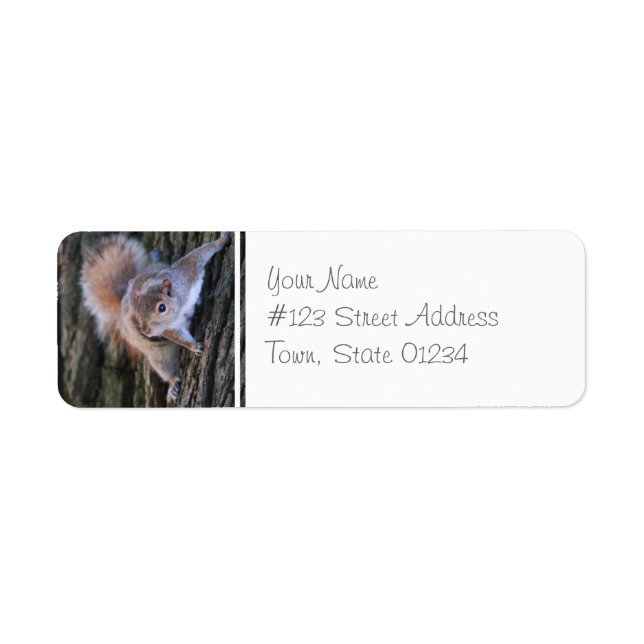 Tree Squirrel  Mailing Labels (Front)