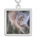Tree Squirrel  Necklace