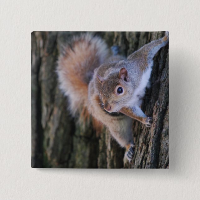 Tree Squirrel  Pin (Front)