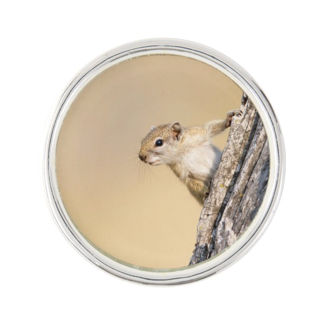 Tree squirrel pin (Front)