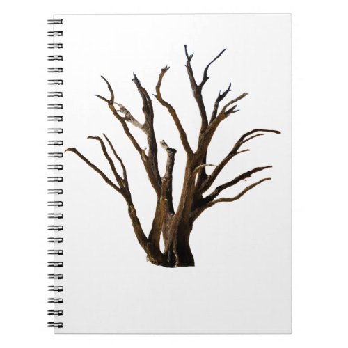 Tree Structure Notebook