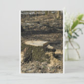 Tree stump (Standing Front)