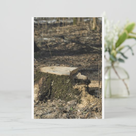 Tree stump (Standing Front)