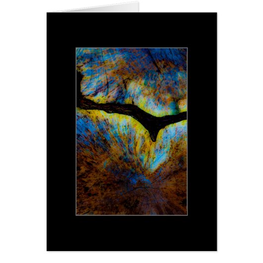 Tree Stump Abstract Cards (Front)