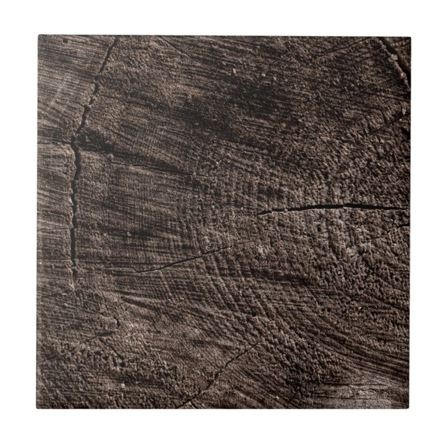 Tree Stump Ceramic Tile (Front)