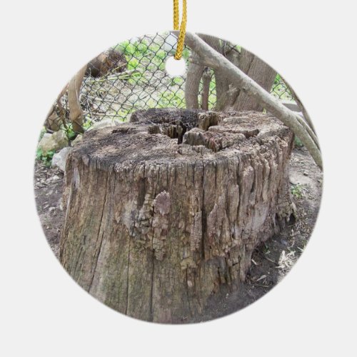 Tree Stump Ornament