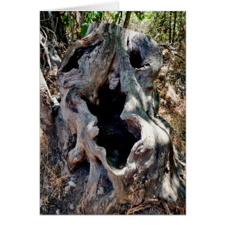 Tree Stump Skull Cards