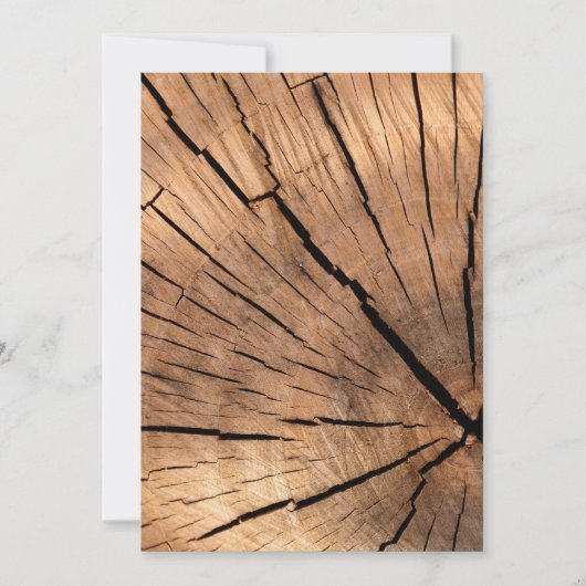 Tree Stump Texture (Front)