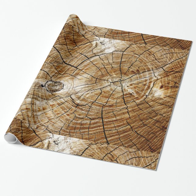 Tree Stump Wrapping Paper (Unrolled)