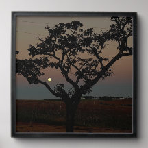 Tree Sunset Wall Nature Photography Rustic Home