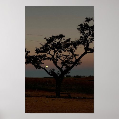 Tree Sunset Wall Nature Photography Rustic Home Poster