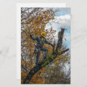 Tree Surgeon (Front/Back)