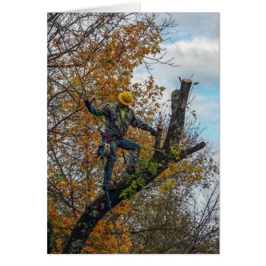 Tree Surgeon Cards (Front)