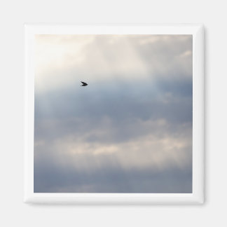 Tree Swallow 2x2 magnet