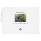 "Tree Swallow" Cards (Back Horizontal)