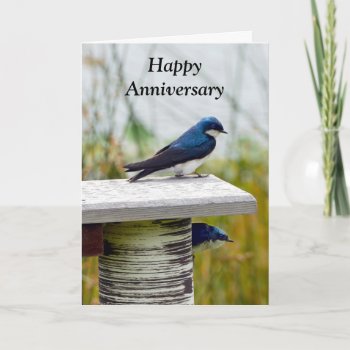 Tree Swallow Couple Happy Anniversary Card by catherinesherman at Zazzle