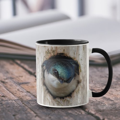 Tree Swallow in a Nestbox Mug