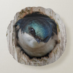 Tree Swallow in a Nestbox Round Pillow