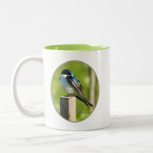 Tree Swallow Mug