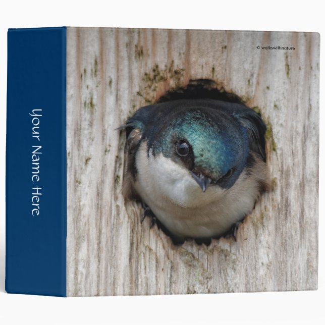 Tree Swallow Songbird in a Nestbox 3 Ring Binder (Front/Spine)