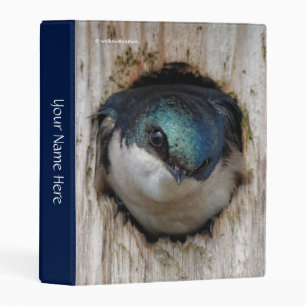 Tree Swallow Songbird in Nestbox Mini Binder
