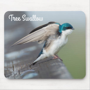 Tree Swallow Stretch Mouse Pad