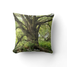 Tree Tales