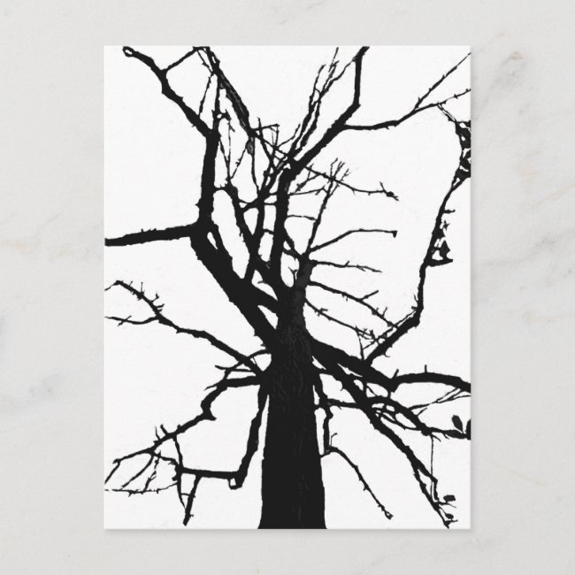 Tree Top Abstract Postcard