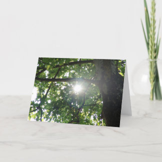 Tree top card