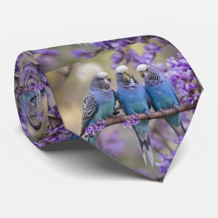 Tree Top Chatter: Blue Budgies In Jacaranda Tree, Neck Tie
