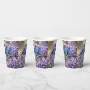 Tree Top Chatter: Blue Budgies In Jacaranda Tree, Paper Cups