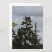 Tree Top Eagle (Front/Back)