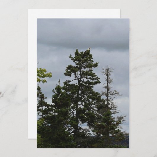 Tree Top Eagle (Front/Back)