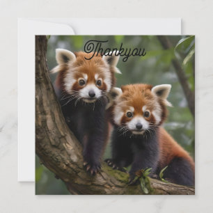 "Tree-top Explorers: Baby Red Pandas Looking Out Thank You Card