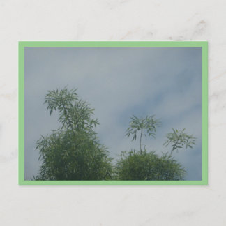 Tree Tops 'Tropical Island' DIY Postcard