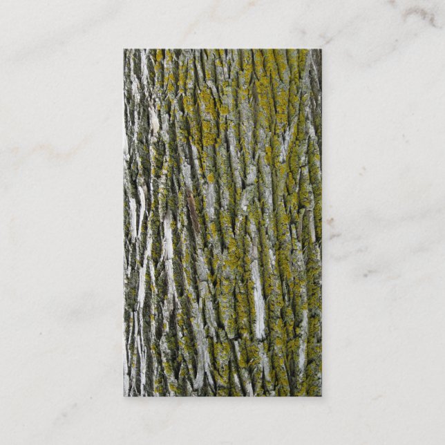 Tree trimmers landscaping firewood stump removal business card (Front)