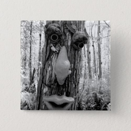 Tree troll on a Big Cypress tree Pinback Button
