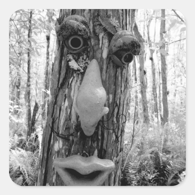 Tree troll on a Big Cypress tree. Square Sticker (Front)