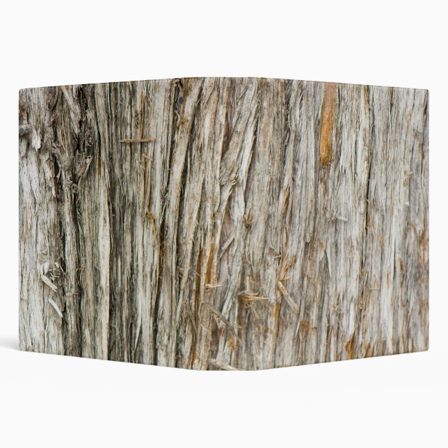 Tree trunk 3 ring binder (Background)