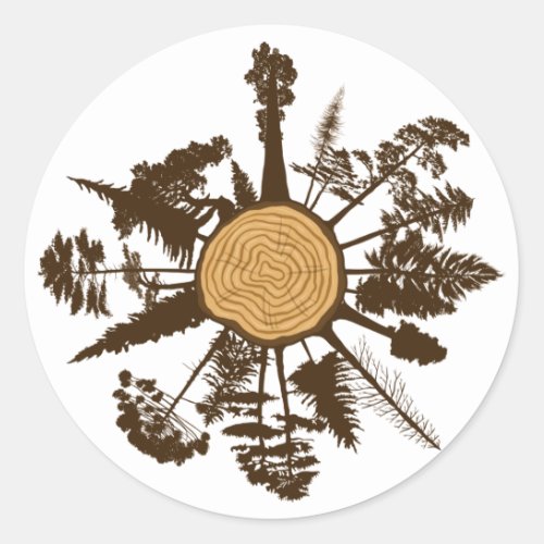 Tree Trunk Cross Section Growth Rings Pine Trees Classic Round Sticker