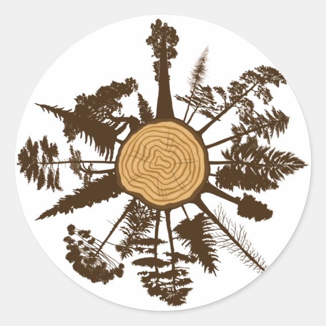 Tree Trunk Cross Section Growth Rings Pine Trees Classic Round Sticker (Front)
