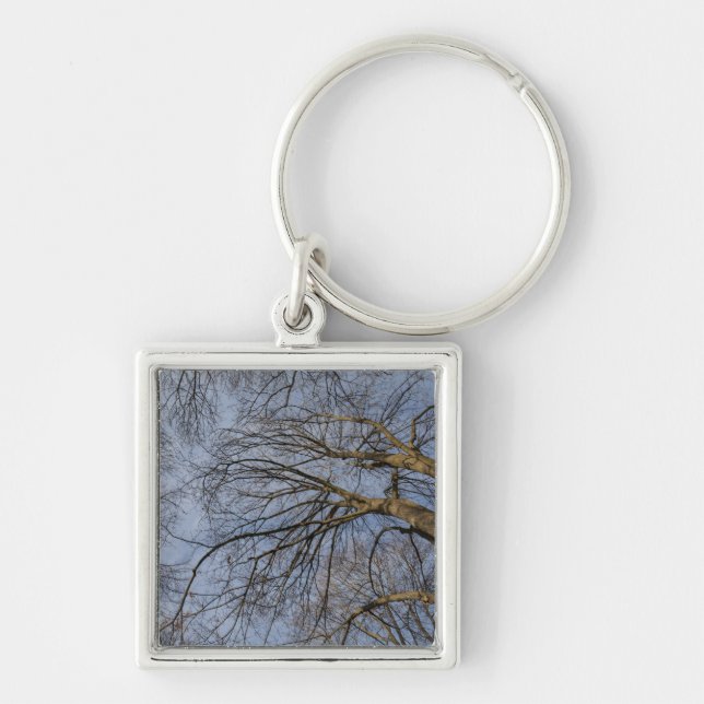 Tree trunk design/pattern. Pioineer Park, WA Keychain (Front)