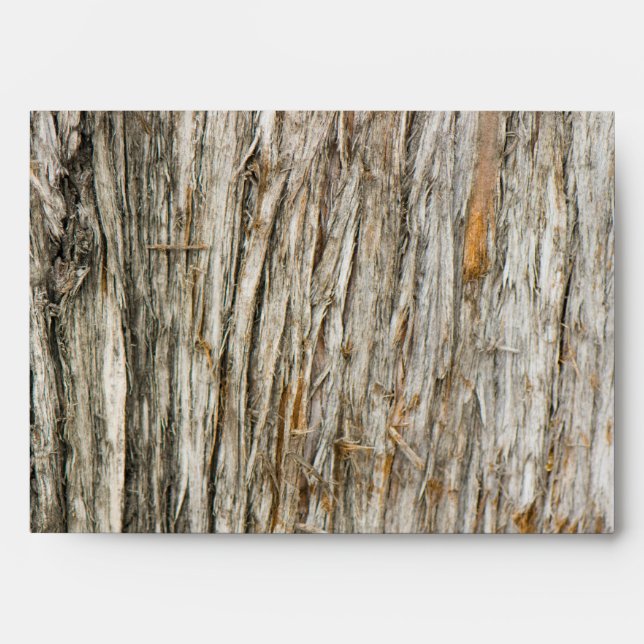 Tree trunk envelope (Front)