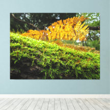 Tree Trunk in Lush Moss -