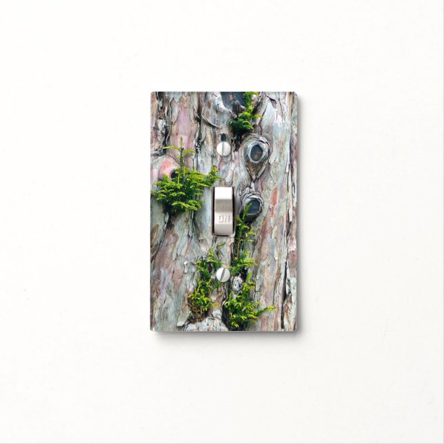 "TREE TRUNK LIGHT SWITCH PLATE (In Situ)