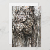 Tree trunk’s knot (Front/Back)