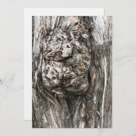 Tree trunk’s knot (Front/Back)