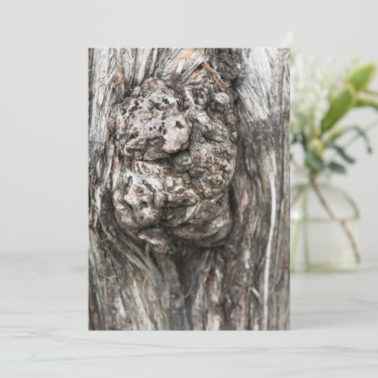 Tree trunk’s knot (Standing Front)