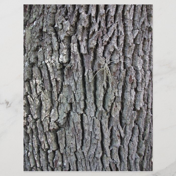 Tree Trunk Texture Personalized Flyer
