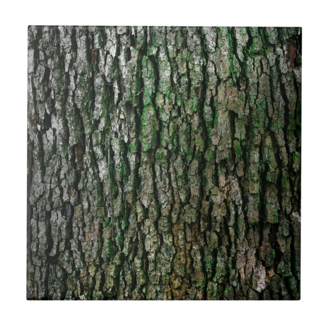Tree Trunk (Wood Bark) Ceramic Tile (Front)